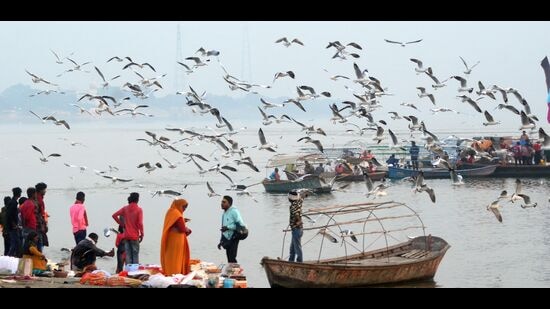 Five ghats would be constructed on the banks of the Yamuna and two along the Ganga. (HT Photo)