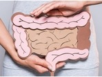 How nanomaterial influences gut microbiome, immune system: Research(Unsplash) How nanomaterial influences gut microbiome, immune system: Research(Unsplash)