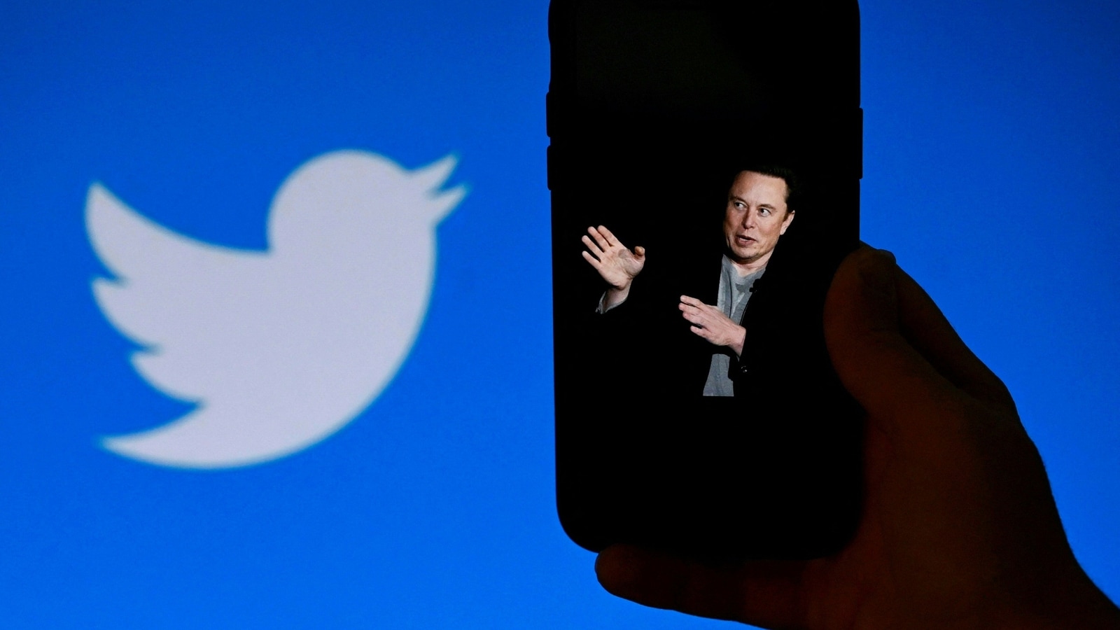 Musk's new Twitter subscription service has blue, gold and grey ticks | 5 points