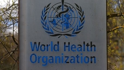Haiti Cholera: World Health Organisation logo is seen. (Reuters)
