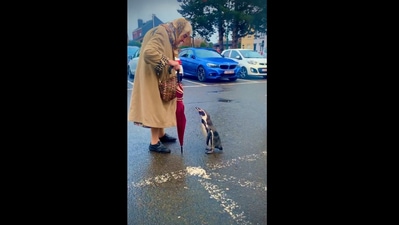 Elderly lady talking to a penguin. (Instagram/@Gabriele_Corno) Elderly lady talking to a penguin. (Instagram/@Gabriele_Corno)