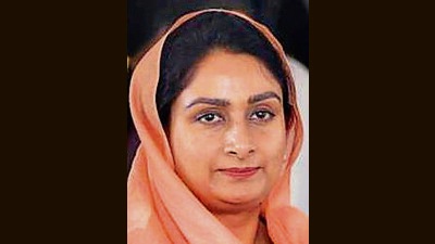 She also made an appeal in the Parliament for the release of Sikh detainees incarcerated in prisons even after completion of their life terms. (PTI file photo)