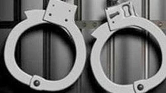 Ludhiana police arrested 82 for allegedly drinking in public during raids. (HT FIle)