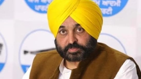 CM Mann warns strict action against institutes who discourage use of Punjabi (HT file photo)