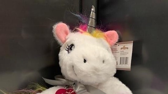 6-year-old in US wanted to own a unicorn, gets license: 'If I can fine one...'(Facebook) 6-year-old in US wanted to own a unicorn, gets license: 'If I can fine one...'(Facebook)