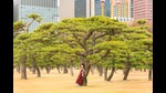 Alone in the city (Shutterstock) Alone in the city (Shutterstock)