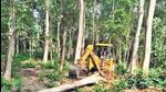The Uttarakhand vigilance said that the suspended IFS officer is on the run in the case pertaining to illegal constructions and felling of trees in Corbett Tiger Reserve. (File Photo)