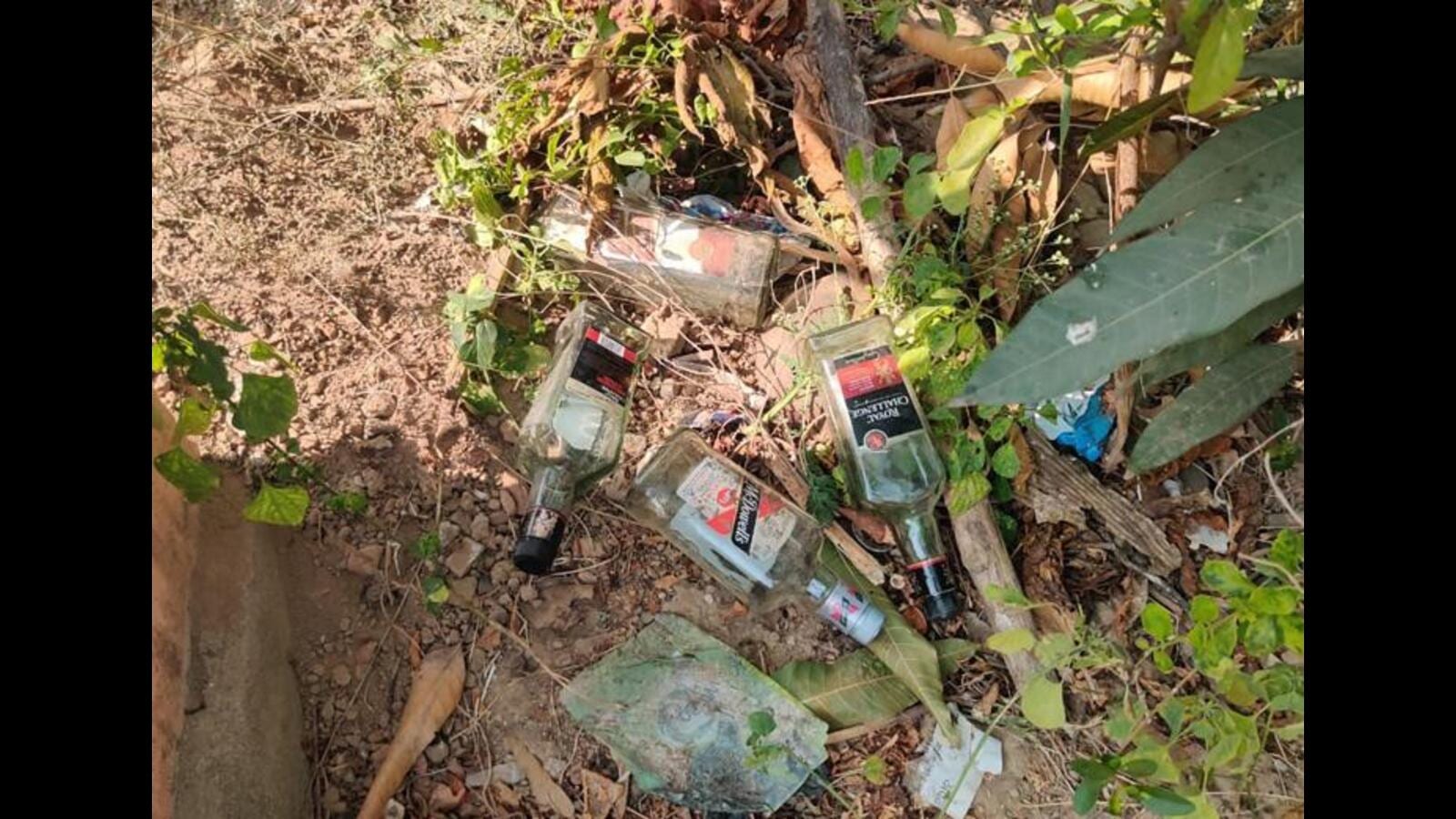 Liquor bottles recovered from Mahabodhi temple premises in Bodh Gaya