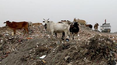 Okhla landfill in Delhi. The committee aims to improve the level of sanitation, solid waste management and to clear out the landfills that exist in the city. (HT Photo) Okhla landfill in Delhi. The committee aims to improve the level of sanitation, solid waste management and to clear out the landfills that exist in the city. (HT Photo)