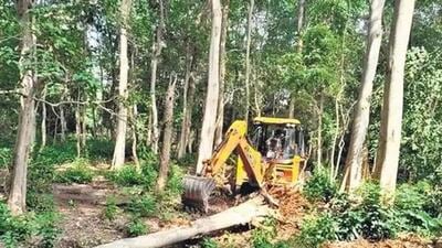 The Uttarakhand vigilance said that the suspended IFS officer is on the run in the case pertaining to illegal constructions and felling of trees in Corbett Tiger Reserve. (File Photo)