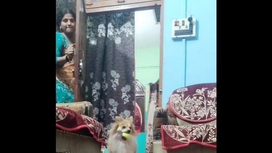 Harsh Goenka shares video of a woman playing game with her dog.(Twitter/@hvgoenka)