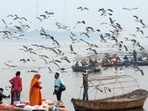 The 'Namami Gange' project was declared as a flagship World Restoration project. The 'Namami Gange' project was declared as a flagship World Restoration project.