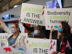 Members of WWF protest during COP15, the two-week U.N. Biodiversity summit, in Montreal, Quebec, Canada.