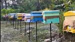 ‘Beehive fencing’ at Chausla village near Corbett Tiger Reserve in Uttarakhand. (Sourced)