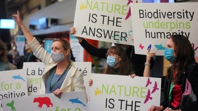 Members of WWF protest during COP15, the two-week U.N. Biodiversity summit, in Montreal, Quebec, Canada. (REUTERS file)