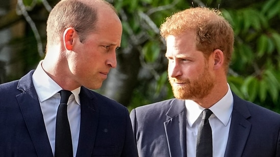 Prince Harry: Britain's Prince William and Britain's Prince Harry are seen.