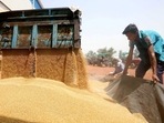 The country’s total stocks of federally-held foodgrains (rice and wheat combined) as on December 1 2022 stood at 30.5 million tonnes. (Sanjeev Gupta) The country’s total stocks of federally-held foodgrains (rice and wheat combined) as on December 1 2022 stood at 30.5 million tonnes. (Sanjeev Gupta)