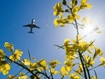 Is our travel habit distroying the planet?(Julian Stratenschulte/dpa/picture alliance) Is our travel habit distroying the planet?(Julian Stratenschulte/dpa/picture alliance)