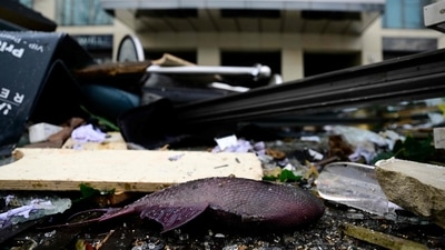 A dead fish lies in the debris in front of the Radisson Blu hotel. (AFP) A dead fish lies in the debris in front of the Radisson Blu hotel. (AFP)