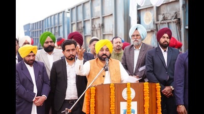 Mann said that there were no power cuts in state during previous paddy season, as Punjab produced 83% more power compared to previous years. (HT photo) Mann said that there were no power cuts in state during previous paddy season, as Punjab produced 83% more power compared to previous years. (HT photo)
