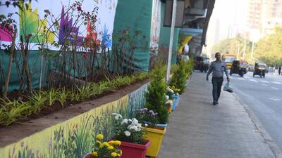 Mumbai, India - December 16, 2022: Plants arranged in flower pots under the beautification project opposite Sanjay Gandhi National Park (SGNP), at Borivali, in Mumbai, India, on Friday, December 16, 2022. (Photo by Vijay Bate/HT Photo) (HT PHOTO) Mumbai, India - December 16, 2022: Plants arranged in flower pots under the beautification project opposite Sanjay Gandhi National Park (SGNP), at Borivali, in Mumbai, India, on Friday, December 16, 2022. (Photo by Vijay Bate/HT Photo) (HT PHOTO)