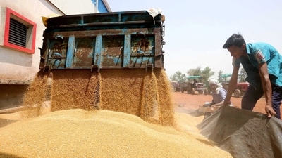 The country’s total stocks of federally-held foodgrains (rice and wheat combined) as on December 1 2022 stood at 30.5 million tonnes. (Sanjeev Gupta) The country’s total stocks of federally-held foodgrains (rice and wheat combined) as on December 1 2022 stood at 30.5 million tonnes. (Sanjeev Gupta)