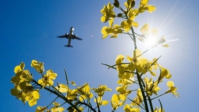 Is our travel habit distroying the planet? (Julian Stratenschulte/dpa/picture alliance) Is our travel habit distroying the planet? (Julian Stratenschulte/dpa/picture alliance)