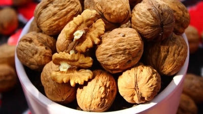 According to a University of South Australia study that was published in the journal Nutrients, walnuts may be able to mitigate the negative effects of academic stress on the gut flora, particularly in females. (Unsplash) According to a University of South Australia study that was published in the journal Nutrients, walnuts may be able to mitigate the negative effects of academic stress on the gut flora, particularly in females. (Unsplash)