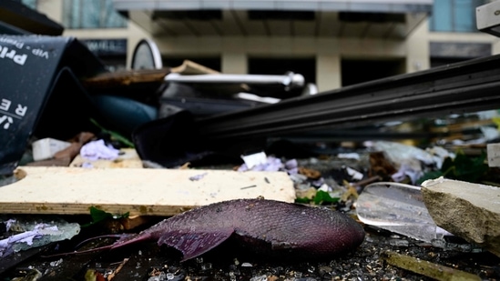 A dead fish lies in the debris in front of the Radisson Blu hotel.(AFP)