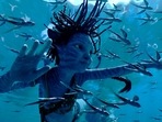 Trinity Bliss, as Tuk, in a scene from Avatar: The Way of Water. (20th Century Studios via AP)(AP) Trinity Bliss, as Tuk, in a scene from Avatar: The Way of Water. (20th Century Studios via AP)(AP)