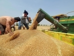 The government’s wheat stock as on January 1, 2023, which is less than two weeks away, is estimated to be 15.9 million tonnes, higher than the buffer norm of 13.8 million tonnes applicable on that date, the official said. (PTI) The government’s wheat stock as on January 1, 2023, which is less than two weeks away, is estimated to be 15.9 million tonnes, higher than the buffer norm of 13.8 million tonnes applicable on that date, the official said. (PTI)