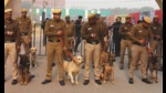 Delhi Police dog squad will conduct a special demonstration on Sunday, showcasing how police dogs are trained in explosive detection, obeying commands and attack. Delhi Police dog squad will conduct a special demonstration on Sunday, showcasing how police dogs are trained in explosive detection, obeying commands and attack.