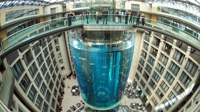 “Despite all the destruction, we were still very lucky,” she said. “We would have had terrible human damage” had the aquarium burst even an hour later, once more people were awake and in the hotel and the surrounding area, Mayor Franziska Giffey said. (AP) “Despite all the destruction, we were still very lucky,” she said. “We would have had terrible human damage” had the aquarium burst even an hour later, once more people were awake and in the hotel and the surrounding area, Mayor Franziska Giffey said. (AP)