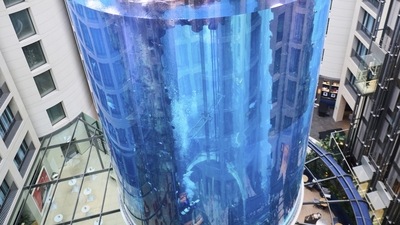 The world's largest free-standing cylindrical aquarium in the world, the AquaDom in Berlin burst, spilling debris, water and hundreds of tropical fish out of the aquarium on Friday. (AP) The world's largest free-standing cylindrical aquarium in the world, the AquaDom in Berlin burst, spilling debris, water and hundreds of tropical fish out of the aquarium on Friday. (AP)