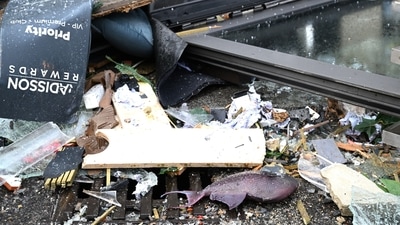 A fish lays in the debris in front of a hotel where an huge aquarium has burst in Berlin, (AP) A fish lays in the debris in front of a hotel where an huge aquarium has burst in Berlin, (AP)