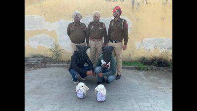 The accused were identified as Sandeep Singh alias Seepa and Harjit Singh alias Gabbar, both residents of Dosanjh village in Moga (HT photo) The accused were identified as Sandeep Singh alias Seepa and Harjit Singh alias Gabbar, both residents of Dosanjh village in Moga (HT photo)
