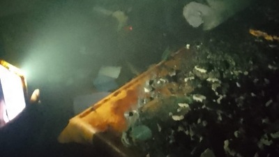 There have been no reports of any loss of life, according to initial inputs. (HT )