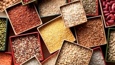 Whole pulses and oat bran should be included in the daily diet as well.&nbsp; (Unsplash)