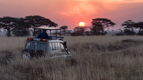 Tanzania: Tanzania is known for its exotic wildlife and rich culture. The Kilimanjaro mountain, the exotic Islands of Zanzibar, the sanctuaries of Serengeti, Tarangire, Lake Manyara, Ngorongoro Crater, Ruaha, Selous and the Marine Park of Mafia Island make Tanzania a unique tourist destination. (Unsplash)