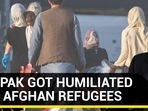HOW PAK GOT HUMILIATED OVER AFGHAN REFUGEES HOW PAK GOT HUMILIATED OVER AFGHAN REFUGEES
