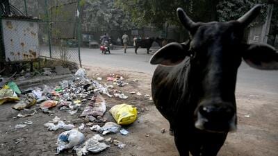 Noida, India- December 18, 2022: Garbage seen littered over the streets as the Noida Authority has decided to install CCTVs across the city to record those, who are in habit of throwing on roads at Sector 12, in Noida, India, on Sunday, December 18, 2022. (Photo by Sunil Ghosh / Hindustan Times) **To go with Vinod’s Story (Hindustan Times) Noida, India- December 18, 2022: Garbage seen littered over the streets as the Noida Authority has decided to install CCTVs across the city to record those, who are in habit of throwing on roads at Sector 12, in Noida, India, on Sunday, December 18, 2022. (Photo by Sunil Ghosh / Hindustan Times) **To go with Vinod’s Story (Hindustan Times)