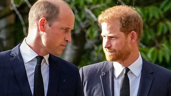 Prince Harry: Britain's Prince William and Britain's Prince Harry are seen.(AP)