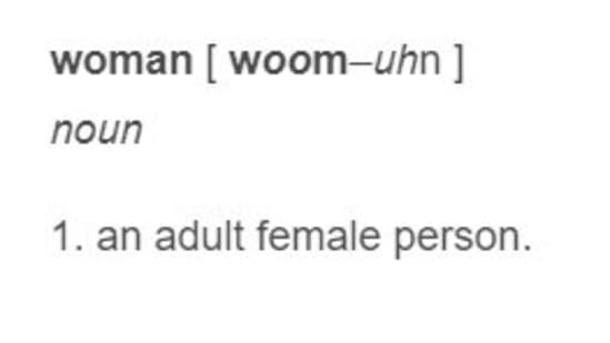 Definição da palavra 'mulher'.(dictionary,com)
