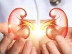This drug offers potential treatment for common kidney disease (File Photo) This drug offers potential treatment for common kidney disease (File Photo)