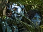 A still from James Cameron's Avatar: The Way of Water. A still from James Cameron's Avatar: The Way of Water.