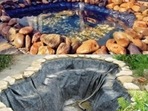 Having a fish garden pond at home can help one relax, beautify the space and be a learning experience for kids.
