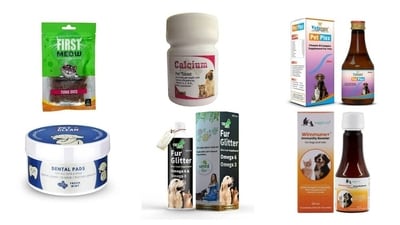 Best health supplies for cats to look out for