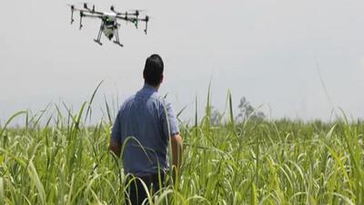 Whatever the compulsions of agriculture nationalism, the digital push to agriculture with a global perspective on economic growth is unavoidable. It can be achieved despite political and socio-economic barriers. (Representational photo) Whatever the compulsions of agriculture nationalism, the digital push to agriculture with a global perspective on economic growth is unavoidable. It can be achieved despite political and socio-economic barriers. (Representational photo)