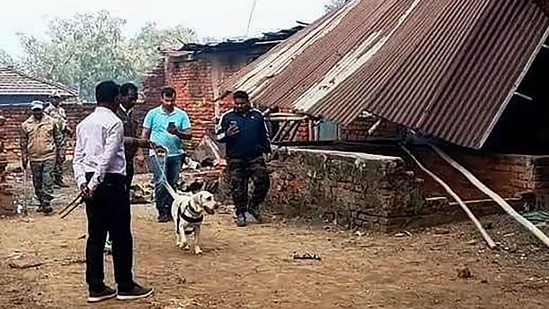 Sahibganj: Forensic team members investigate the killing of a young tribal woman, in Sahibganj, Jharkhand. (PTI)