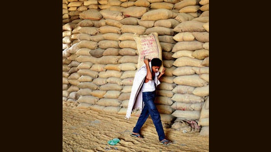 The Centre owes state ₹ 3,050-crore out of which pending RDF is major chunk ( ₹ 2,872 crore) and remaining goes pending against the mandi fees head. (REUTERS file photo)